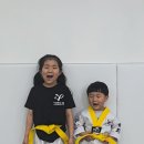 용인대 정무 태권도장 이미지