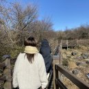 제주도 겨울 천백고지 1100도로 야간 드라이브 제주 cctv 경찰청 교통통제 확인