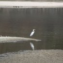 상대동 공영자전거무료대여소 이미지