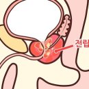 이지스한의원 이미지