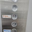 정동진 모텔 | 강릉 정동진 바다뷰 숙소 다우리조텔 내돈내산 솔직후기