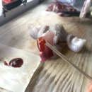 통영 중앙 활어시장 회 포장 후기(진짜 양 많고 신선함 주의!)
