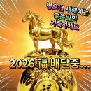 세륜주 네이버블로그
