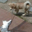 놀자