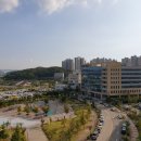 다인 행정사사무소 이미지