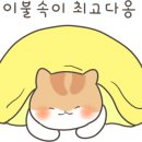 편하개 놀다가냥 이미지