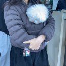 팔각정 입구 | 울산 북구 정자 대게맛집 팔각정 내돈내산 루프탑, 애견동반 가능 솔직 후기(박달대게, 회, 해산물 모듬)