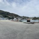 고니민박 이미지