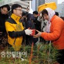 행복한나무 이미지