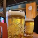 동양맥주 티스토리