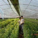 영민하우스 이미지