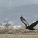 무한천농장 이미지