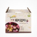 돼지꿈나라 이미지