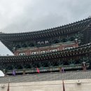 이마트 진주점 | 2025 진주남강유등축제 행사 참여후기(진주성/부교/남가람공원/주차)