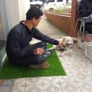 뽕똘하우스 이미지