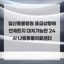 24시 나음동물 의료센터 | 일산동물병원 응급상황에 언제든지 대처가능한 24시 나음동물의료센터