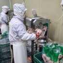 수원닭납품 믿고 맡기는 (주)현정｜찜닭집 사장님의 리얼 후기
