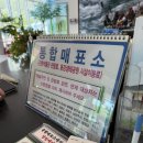 여기에 오면 | 아기랑영월 오면 여기 가봐야죠 곤충박물관 방문 후기