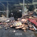 농수산물도매시장_서 이미지