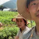 이든농장 이미지