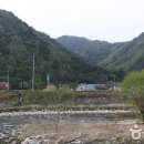 나드리야영장 이미지