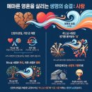 주 너의 하느님을 사랑해야 한다. 네 이웃을 너 자신처럼 사랑해야 한다. (8월 21일 금요일 [(백) 성 비오 10세 교황 기념일) 이미지