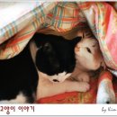 이불이야기 이미지
