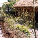 제주테우문화 이미지