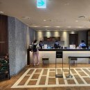남산 온천 | 인 서울 강남 스탠다드 퀸 아이랑 호캉스 - 인공온천 대욕장, 도미인 라운지, 부대시설 무료 서비스...