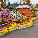 종합경기장-우 이미지