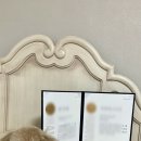 야옹아 멍멍해봐 미용실 이미지