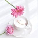 콩보리네 이미지