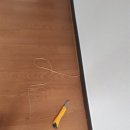 월성 e편한세상 이미지