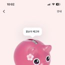 다채운