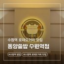 동양 | 수원역 가성비 맛집 밥집 동양솥밥 후기