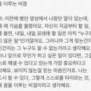 꿈이있는사람들 이미지