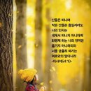 IMA: 딜셰이커 플랫폼과 위챗과의 연동. 2026.10.18.주 이미지