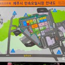 제주시민속오일시장 이미지