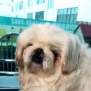 견생스타일 이미지