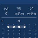 탑다이어트캠프 이미지