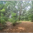 연일읍 중명리 이미지