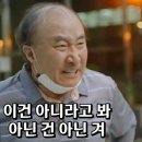만두를 영어로. 뭐지?? 이미지