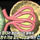 으뜸기획 이미지