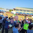 함안초등학교 이미지