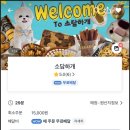 소담하개 이미지