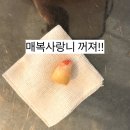 워너비치과의원 이미지