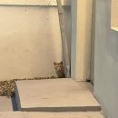 스테이해늘 | 포항 감성 숙소 추천 ‘스테이 해늘’ 내돈내산