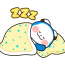 헬로펫 효자점 이미지