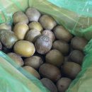 양지산부인과의원 이미지