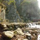 강천산 길 이미지